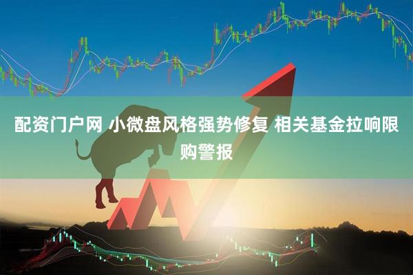 配资门户网 小微盘风格强势修复 相关基金拉响限购警报
