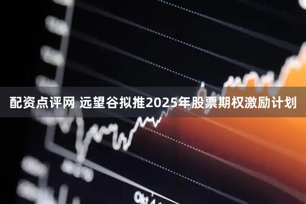 配资点评网 远望谷拟推2025年股票期权激励计划