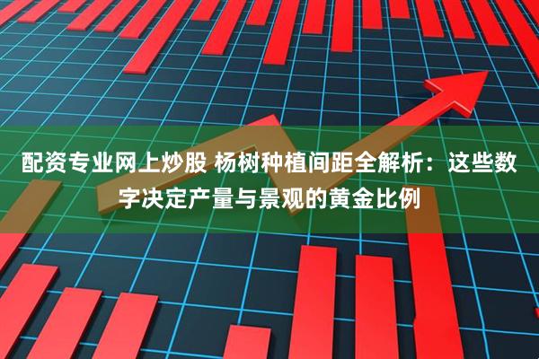 配资专业网上炒股 杨树种植间距全解析：这些数字决定产量与景观的黄金比例
